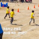 윤쓰김밥 - 북구 설죽로315번길 37 | 요즘 초등학교 운동회 준비물부터 급식까지 현장후기