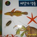 프뢰벨 자연관찰81권,프뢰벨 영아테마동화,110오리털점퍼,조끼.츄리닝 이미지