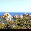 장호어촌체험마을 이미지