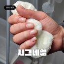 배곧 시그네일 물어뜯는손톱 아크릴연장 짧은손톱의 대변신