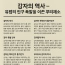 뿌리산업 | 감자의 역사 – 유럽의 인구 폭발을 이끈 뿌리채소