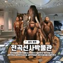 제4구경길 건봉사 유적지탐방길 | 경기도 연천 전곡선사박물관, 구석기 역사를 뒤집은 선사유적지 탐방기