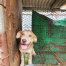 오수농장 이미지