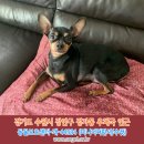 장안우체국 이미지