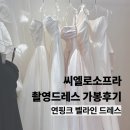 수원 씨엘로소프라 스튜디오(토탈) 촬영드레스 연핑크 벨라인드레스