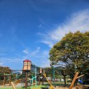 청도군-5 이미지