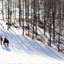 나드리목장 이미지