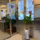 에그드랍전주에코시티점 이미지