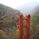 강천산군립공원(현수교) 이미지