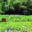 연곡리 농장 이미지