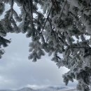 기정목장 | 아기침대 구입