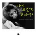 에이지씨씨
