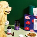 봄이 아빠의 댕댕이 간식 이미지