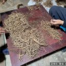 웅이네 농장 이미지