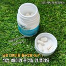 펙스 | GLP-1 식단컷팅제 먹어봤습니다 식단관리 필수템 세라펙스로 식욕조절해본 후기