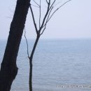 해오름관광펜션 이미지