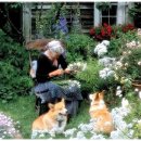 타샤의정원 이미지