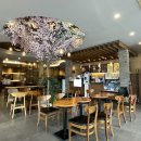 설빙고창점 이미지