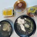 리취8로마 이미지