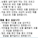 낙태영가를 위한 참회문과 108배 이미지