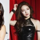 헤어라이 이미지