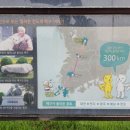 돈지백구마을 이미지