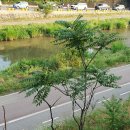 비산 빗물펌프장 이미지