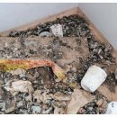 서원대로 이미지