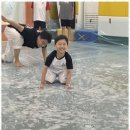 힘찬 태권도 이미지