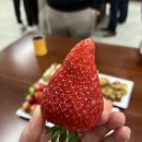 문선생당구교실 | 아이브ㅣ에이치에비뉴 광주ㅣ김구족발ㅣ나주목초밥ㅣ문선생당구교실ㅣ있지 류진ㅣ일품왕소금구이ㅣ탐라포차