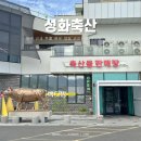 이동축산 | 경산 투뿔 한우 맛집 성화축산 식육식당 내돈내산 솔직후기