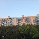 상아유치원 | 개롱 거여 임장 후기