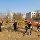 서구-11 이미지