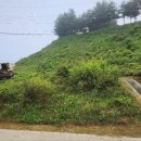 쌍용자동차아산정비센터(주) | 남양주 조경공사 후기｜제이엔조경 덕분에 방치된 땅이 정돈된 공간으로 바뀌었어요