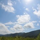 유명산골