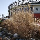 바다정원 이미지