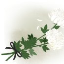 택전반점 이미지