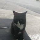 GS25 춘천효제점 이미지