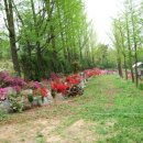 군자농장 이미지