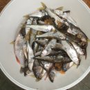 자연-탄생 이미지