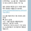 동보슈퍼 | 소노벨C동 : 패밀리(파인취사/스탠다드/침대)오션월드젤가까움/아사히슈퍼드라이구입방법/비발디파크꿀팁
