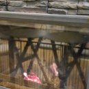 닭강정과 칭구들 | 보은여행 #5 속리산호텔 나인밸리파크 핀란드 사우나, 보은대추닭강정 속리산점