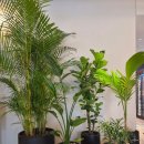 판교역로 | 판교 그래비티 조선 서울 호텔 조식당 앤디쉬 제로비티 식당 후기