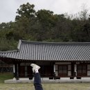 비비드요가&웰니스스튜디오