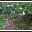 화담당 경화탑 이미지