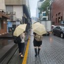 소호8길 | 빵먹으러 대전 간 사람이 되,,