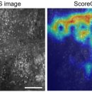 나은메디칼 이미지