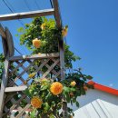 숨고름민박 이미지