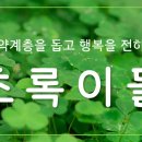 조성민안경콘택트 이미지