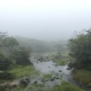 성산게스트하우스킴스캐빈 | 극P의 제주도 3박4일 혼자 여행 일정공유